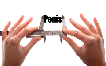 small Penis in men, how does it affect the sex life